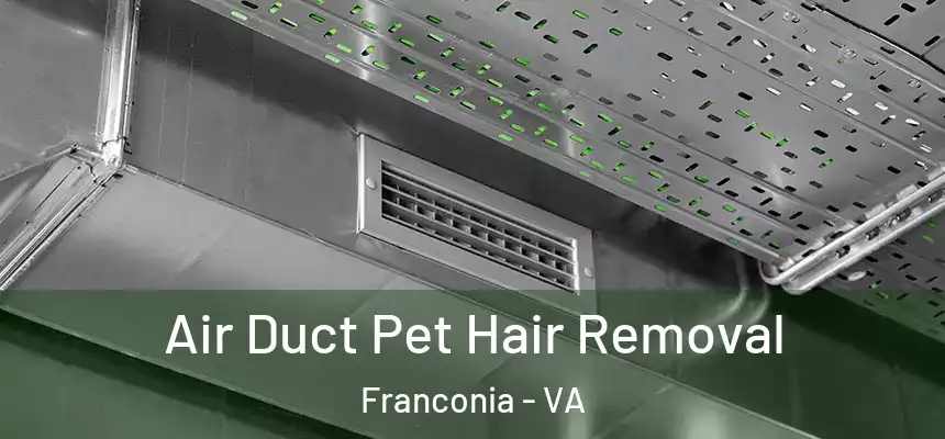  Air Duct Pet Hair Removal Franconia - VA