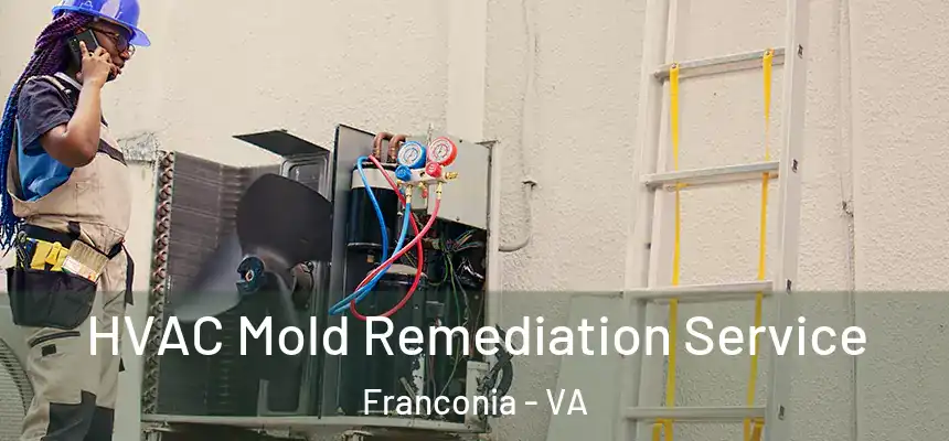  HVAC Mold Remediation Service Franconia - VA