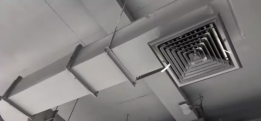 Our Pest Removal From Ducts Services in Franconia, VA