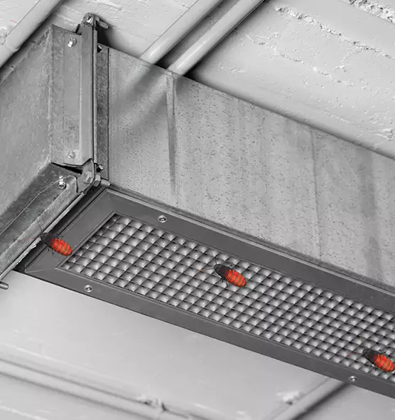 About Air Duct Cockroach Removal in Franconia, VA