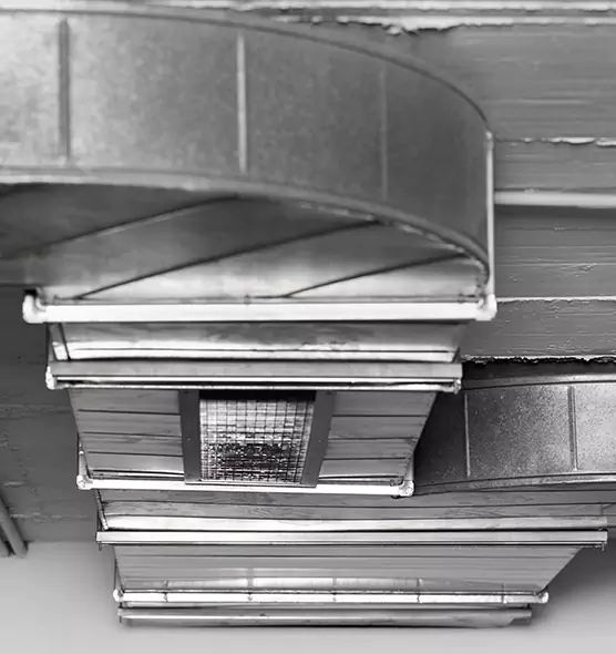 Professional Air Duct Pest Removal in Franconia, VA